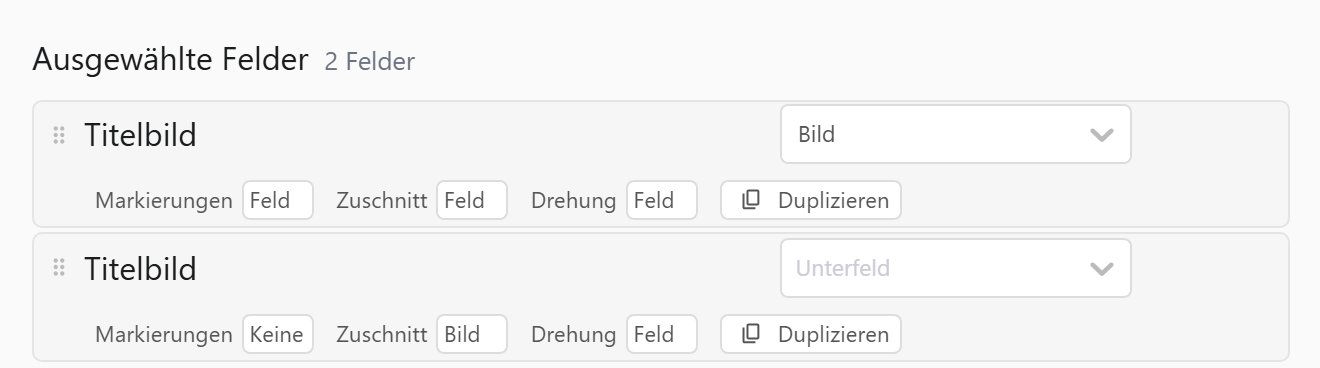 Bereich Ausgewählte Felder im Excel-Export von Moliri: das Titelbild zweimal, einmal mit Markierungen und Zuschnitt aus dem Feld, im Duplikat Markierungen Keine und Zuschnitt Bild