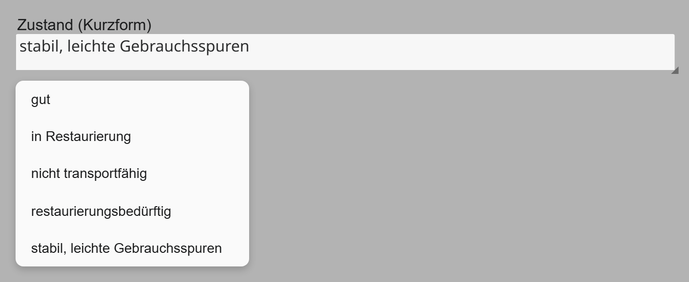 Textfeld Zustand (Kurzform) in Moliri mit geöffneter Liste fester Vorschläge zum Zustand eines Objekts